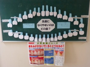 s-歯の衛生週間①